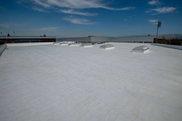 Best Emergency Roof Repair Services  in Roma, TX