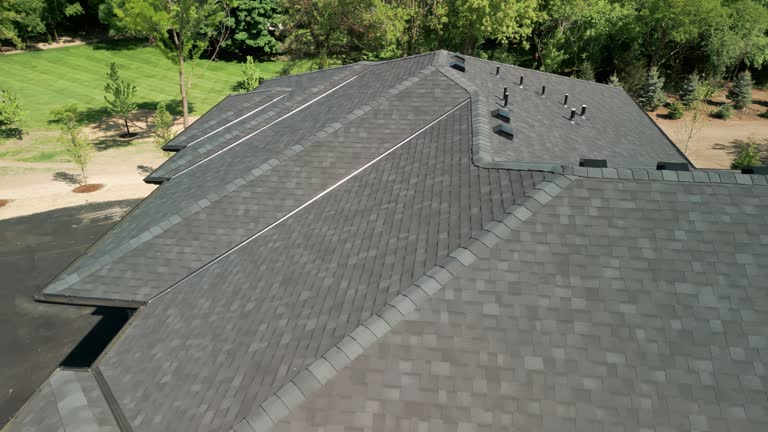 Best Roof Insulation Installation  in Roma, TX