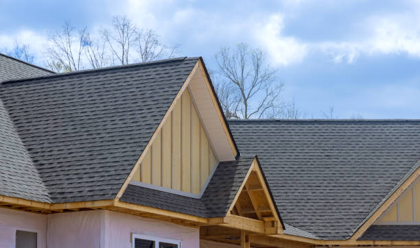 Best Roof Coating and Sealing  in Roma, TX