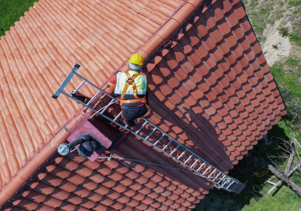 Roma, TX Roofing Services Company