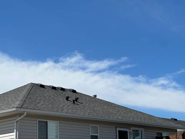 Best Chimney Flashing Repair  in Roma, TX